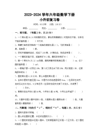 小升初+综合复习题(试题)-+2023-2024学年六年级数学下册冀教版+