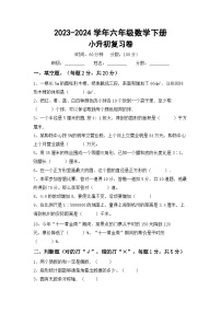 小升初+综合复习（试题）-+2023-2024学年六年级数学下册北师大版+