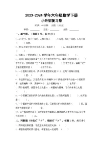 小升初综合复习（+试题）-+2023-2024学年六年级下册数学人教版