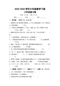 小升初复习题(试题)-2023-2024学年六年级下册数学人教版