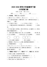 小升初复习卷(试题)-+2023-2024学年六年级下册数学北师大版