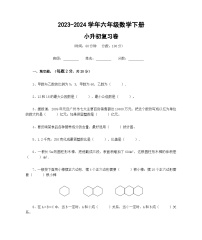 小升初综合复习题（试题）-2023-2024学年六年级下册北京版数学