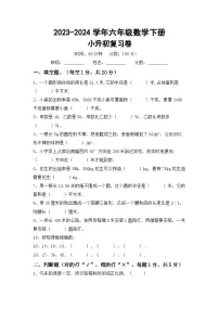 小升初复习题（试题）-2023-2024学年六年级下册数学北京版