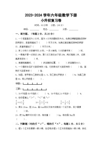 小升初+综合复习(试题)-+-2023-2024学年六年级数学下册人教版+