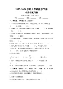 小升初复习（试题）2023-2024学年六年级数学下册人教版+