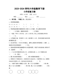 小升初复习（试题）2023-2024学年六年级数学下册苏教版