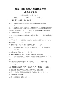 小升初复习（试题）-2023-2024学年六年级下册北师大版数学