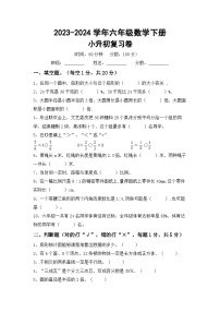 小升初复习卷（试题）-+2023-2024学年六年级数学下册苏教版+