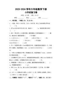 小升初复习卷（试题）-2023-2024学年六年级下册北京版数学