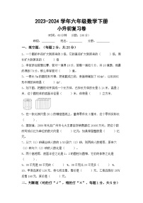 小升初复习卷（试题）2023-2024学年六年级数学下册苏教版