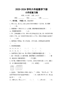 小升初复习题（试题）-2023-2024学年六年级下册数学苏教版