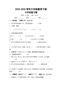 小升初综合复习（试题）+2023-2024学年六年级数学下册北师大版+