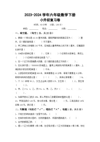 小升初综合复习(试题)-2023-2024学年六年级下册数学北京版