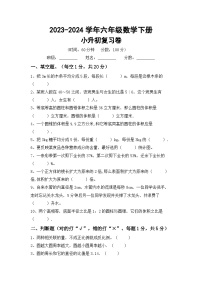 小升初综合复习（试题）-2023-2024学年六年级下册数学苏教版