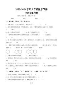 小升初复习卷(试题)-+2023-2024学年六年级下册数学北师大版