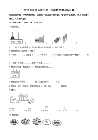 2023-2024学年江西省赣州市瑞金市人教版一年级上册期末综合练习数学试卷（原卷版+解析版）