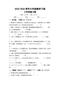 小升初综合复习卷（试题）-2023-2024学年六年级下册数学人教版