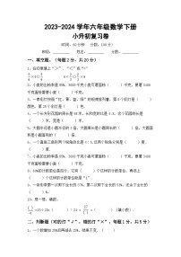 小升初综合复习卷题（试题）2023-2024学年六年级数学下册北京版+