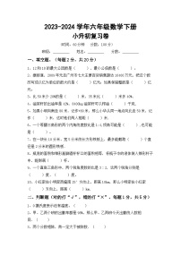 小升初综合复习题+(试题)-+2023-2024学年六年级下册数学人教版