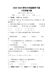 小升初复习（试题）2023-2024学年六年级数学下册西师大版+