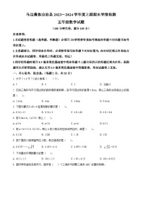 2023-2024学年四川省乐山市马边彝族自治县大竹堡乡中心校人教版五年级上册期末学情检测数学试卷（原卷版+解析版）