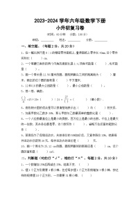 小升初复习(试题)--2023-2024学年六年级下册数学北师大版