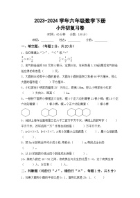 小升初综合复习(试题)+2023-2024学年六年级下册数学北师大版