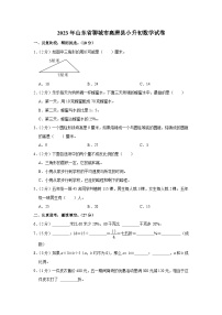 2023年山东省聊城市高唐县小升初数学试卷