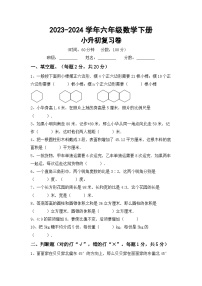 小升初复习卷（试题）2023-2024学年六年级数学下册苏教版+