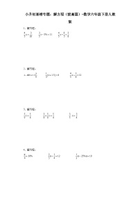 小升初易错专题：解方程（拔高篇）-数学六年级下册人教版