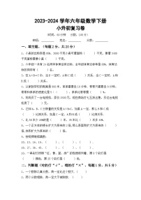 小升初复习(试题)-+2023-2024学年六年级数学下册苏教版+