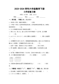 小升初复习(试题)-2023-2024学年六年级下册数学北师大版.1