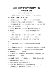 小升初综合复习(试题)-2023-2024学年六年级下册数学冀教版