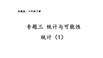 苏教版六年级下册3. 统计与可能性复习ppt课件