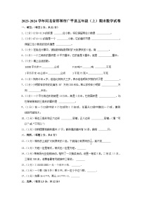 河北省邯郸市广平县2023-2024学年五年级上学期期末数学试卷