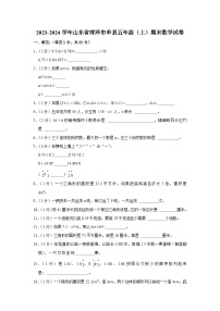 山东省菏泽市单县2023-2024学年五年级上学期期末数学试卷