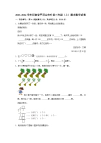 河南省平顶山市叶县2023-2024学年三年级上学期期末数学试卷