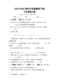 小升初复习卷(试题)-+2023-2024学年六年级数学下册北京版+