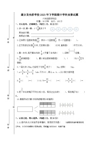 湖南省益阳市赫山区箴言龙光桥学校2023-2024学年六年级上学期期中考试数学试题