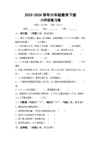 小升初复习（试题）-2023-2024学年六年级下册苏教版数学