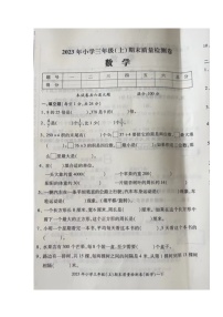 湖南省邵阳市新宁县乡镇学校联考2023-2024学年三年级上学期期末考试数学试题