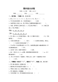 小升初复习(试题)+-2023-2024学年六年级下册数学人教版