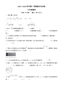 2023-2024学年河南省周口市沈丘县中英文学校人教版六年级上册期末测试数学试卷（解析版+原卷版）