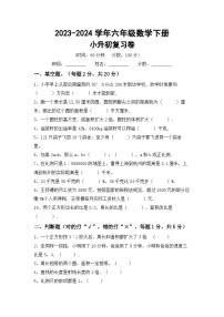 小升初综合复习（试题）-2023-2024学年六年级下册西师大版数学