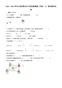 2023-2024学年山东省泰安市宁阳县蒋集镇青岛版（五年制）三年级上册期末考试数学试卷