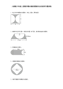 人教版六年级上册数学期末圆的阴影部分的面积专题训练（含答案）