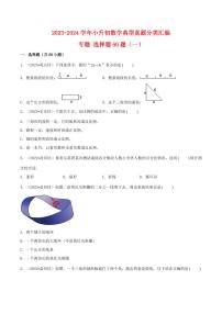 选择题60题（一）-2023-2024学年小升初数学典型真题分类汇编