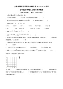 2023-2024学年安徽省滁州市琅琊区滁州市会峰小学苏教版五年级上册期末测试数学试卷（原卷版+解析版）