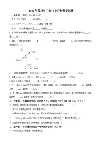 精品解析：四川省广安市2022年西师大版小升初考试数学试卷(原卷版+解析)