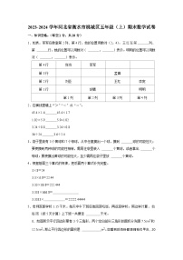 45，河北省衡水市桃城区2023-2024学年五年级上学期期末数学试卷